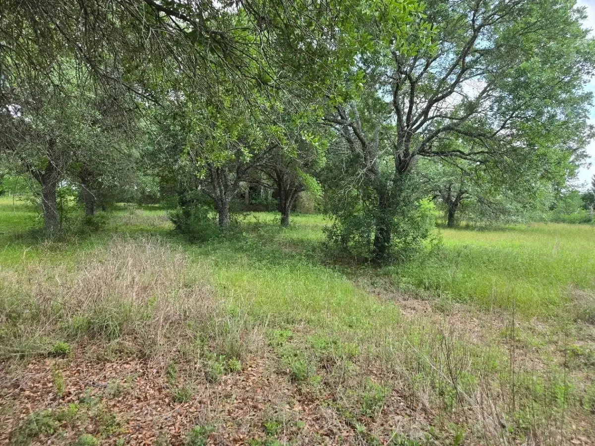 1238 E Fm 1093 Road, Wallis, TX 77485 - #1