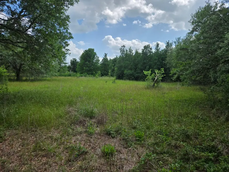 1238 E Fm 1093 Road, Wallis, TX 77485 - #3