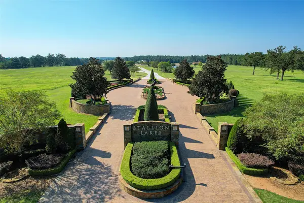 2302 Iris Cove Court, Hockley, TX 77447