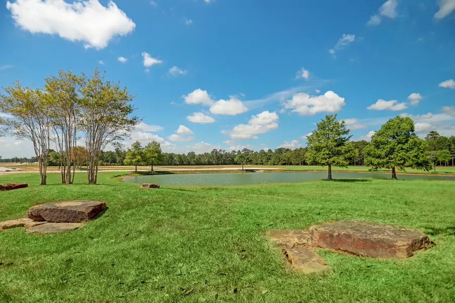 2302 Iris Cove Court, Hockley, TX 77447 - Image #3