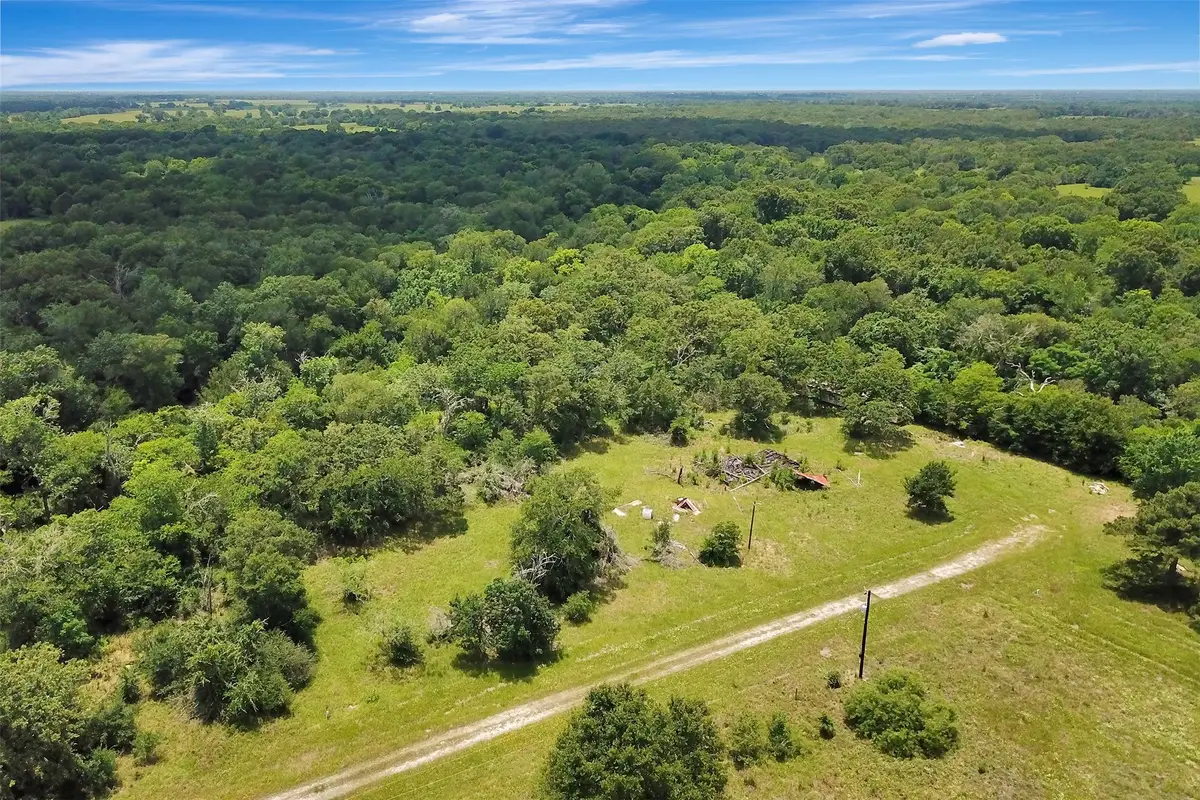 1719 Stone Street, Bedias, TX 77831 - #1