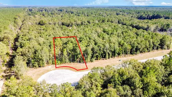 1524 Road 66119, Dayton, TX 77535