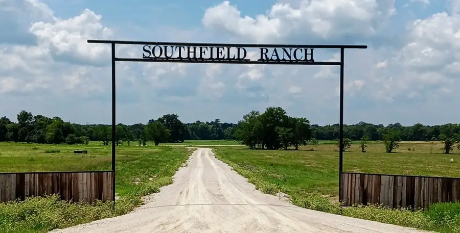 TRACT 24 Fm 2915, Lovelady, TX 75851 - #2