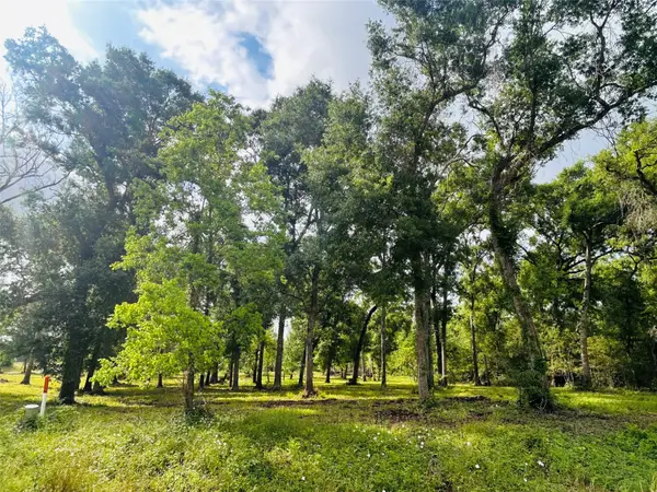 1214 Chuckwagon Court, Angleton, TX 77515