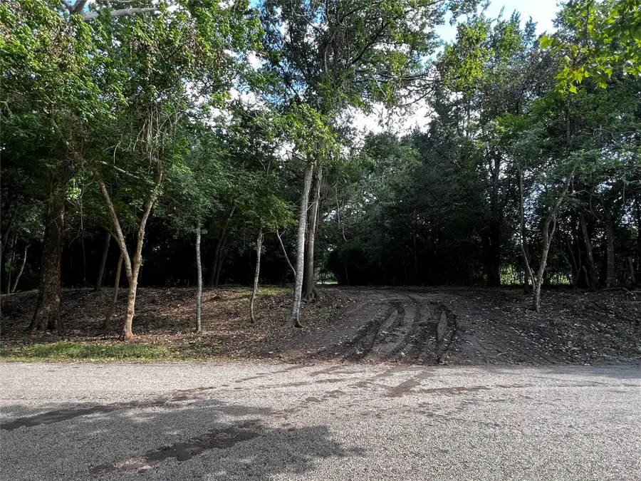 00 Chadwick Hogan Road, Chappell Hill, TX 77426 - #2