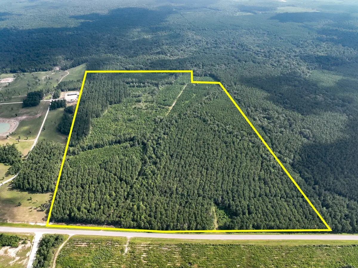 T-2 Fm 943, Kountze, TX 77625 - #1