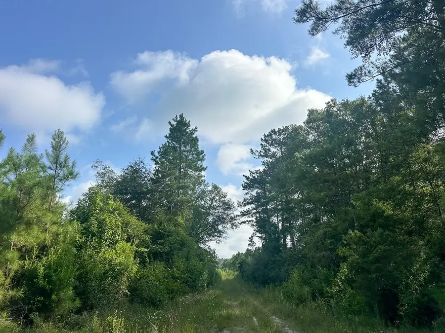 T-2 Fm 943, Kountze, TX 77625 - #3