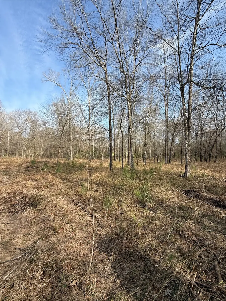 854 County Road 2125, Cleveland, TX 77327 - #2