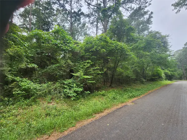 207 Long King, Livingston, TX 77351