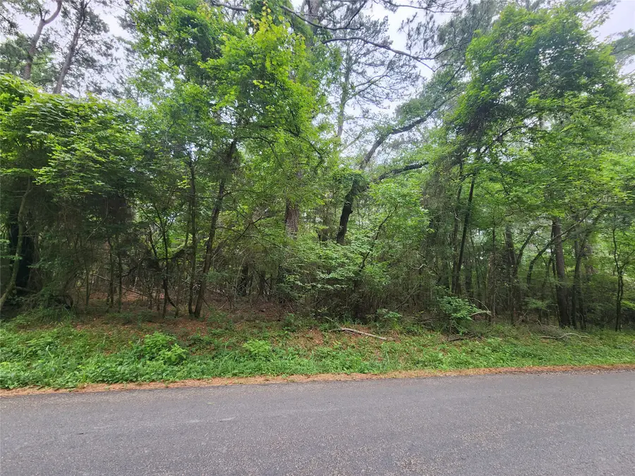 207 Long King, Livingston, TX 77351 - #2