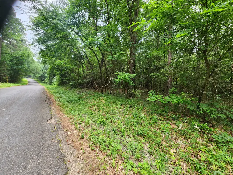 207 Long King, Livingston, TX 77351 - #3