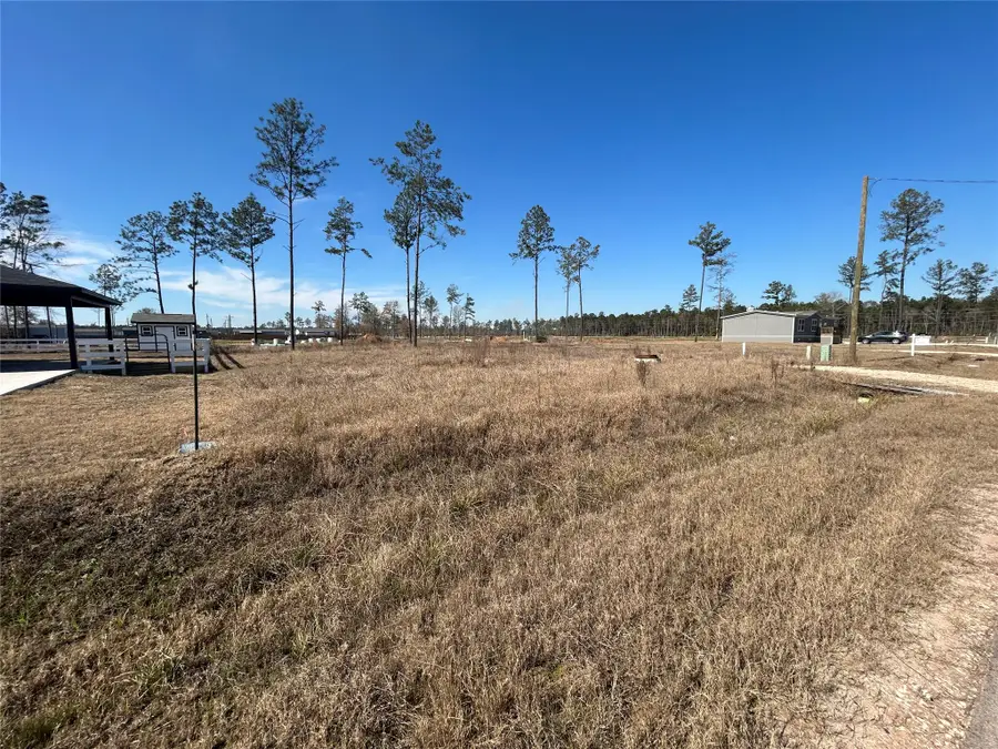 12228 Truchard Drive, Conroe, TX 77306 - Image #2