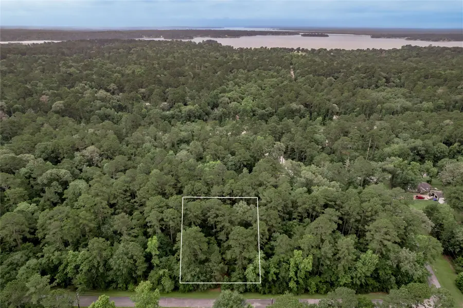 Lot 04 Sweetgum Drive, Trinity, TX 75862 - #3