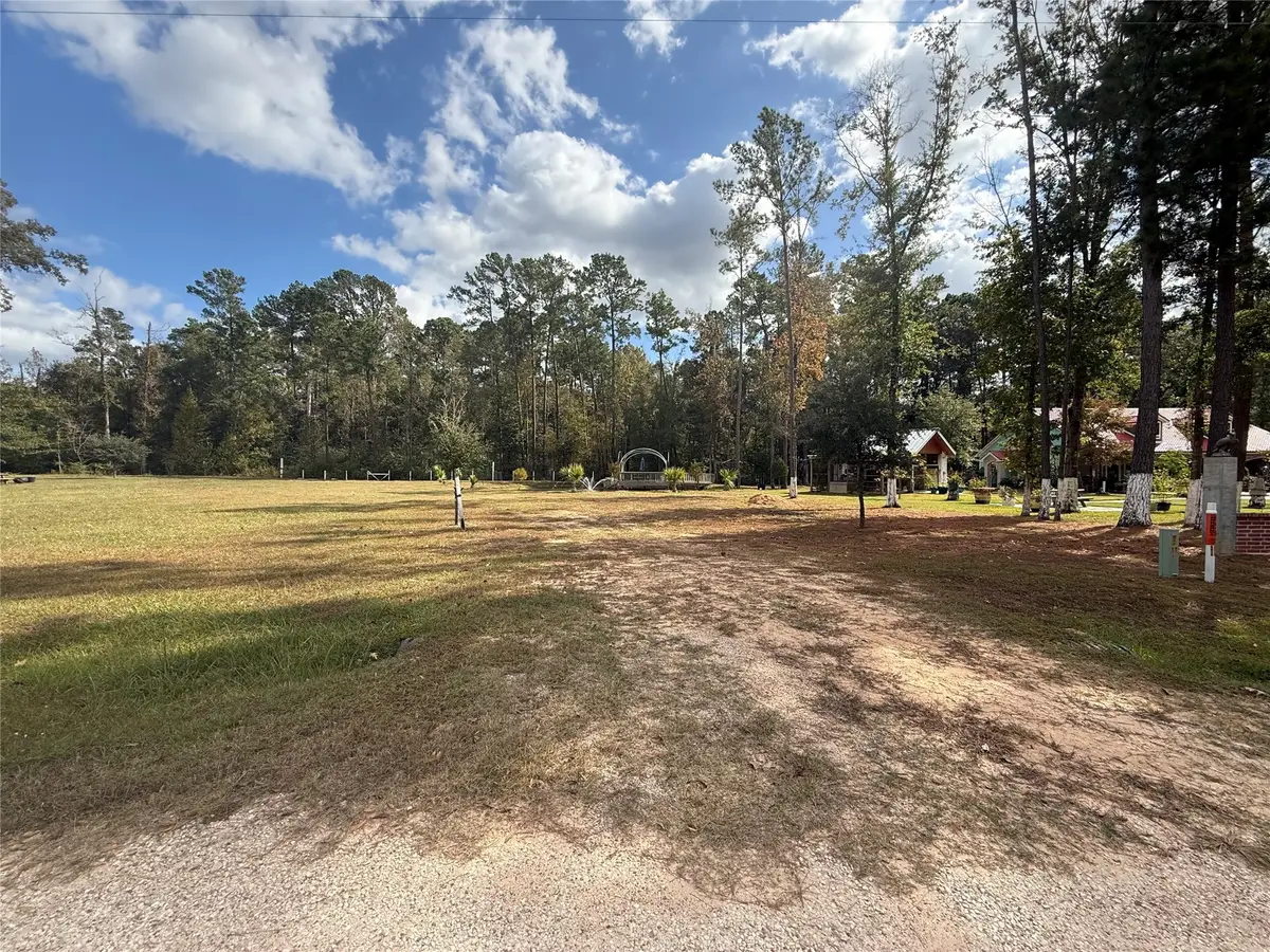 TBD Russell Bailly, Livingston, TX 77351 - Image #1