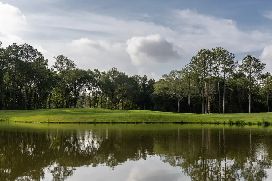 7007 Putter Point Drive, Porter, TX 77365 - #3