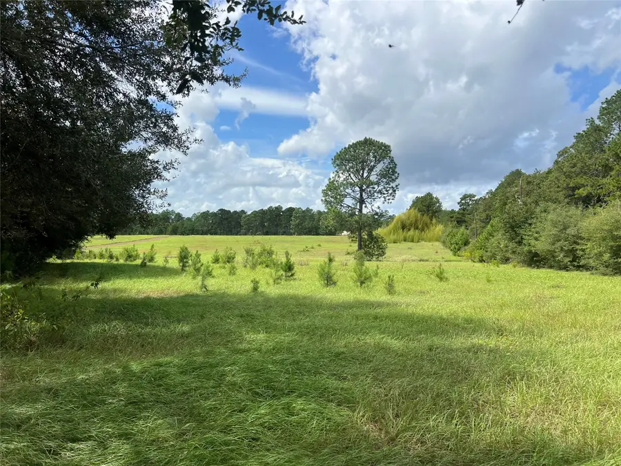 TBD Private Road 8309, Woodville, TX 77624 - #3