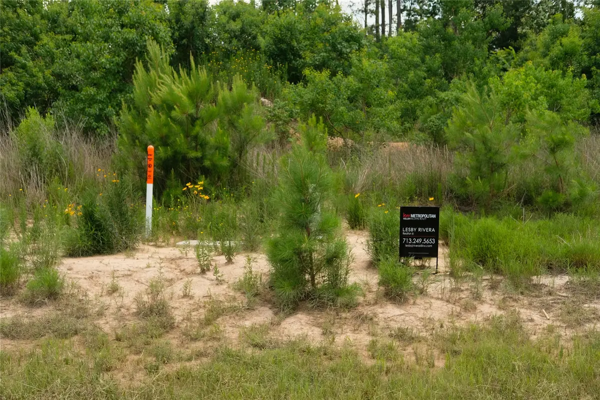 4084 Road 5872, Cleveland, TX 77327 - #1