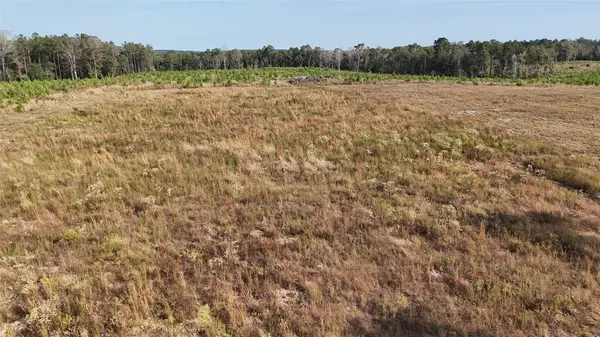 TBD 3 Young Road, Livingston, TX 77351