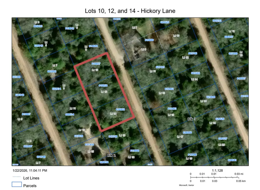 TBD Hickory Lane, Hilltop Lakes, TX 77871 - #2