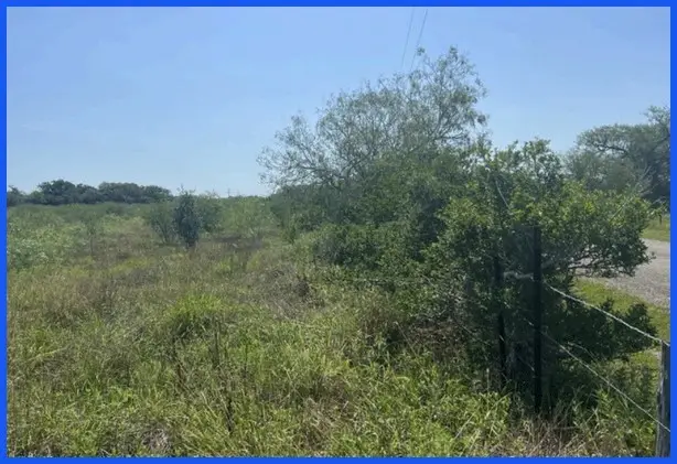 TR 13 Private Road, Refugio, TX 78377 - Image #3