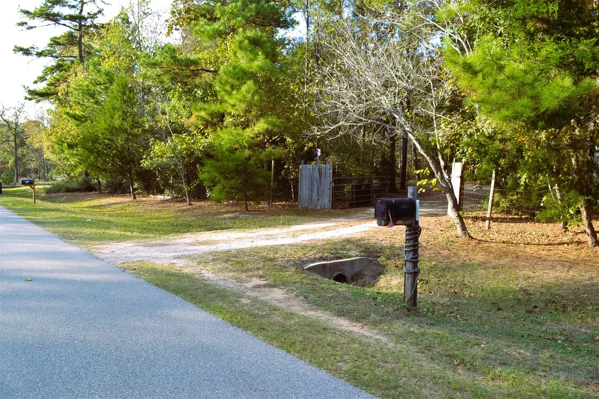 24854 Shady Oaks Boulevard, Montgomery, TX 77316 - Image #1