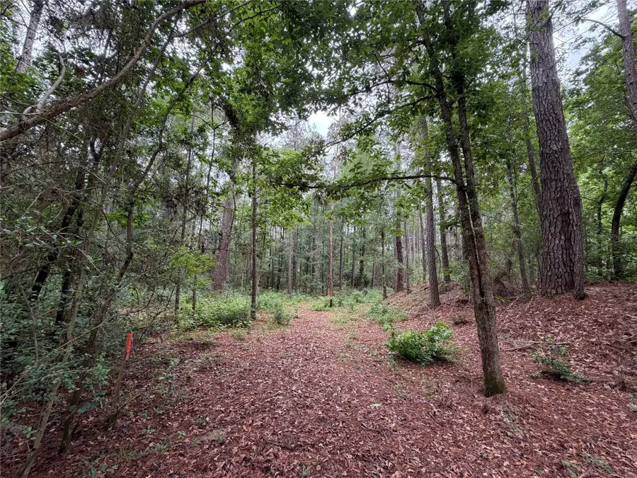 0 Hill Road Lot 6, Willis, TX 77378 - #3