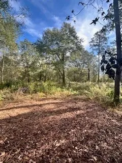 480 County Road 3188, Cleveland, TX 77327 - Image #3