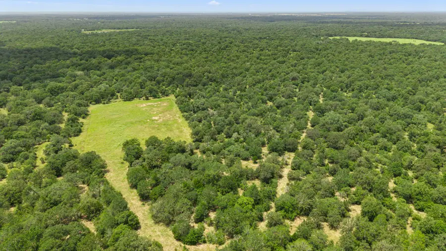 TBD Cr 117/ Getty Texaco Rd, Hallettsville, TX 77964 - #3