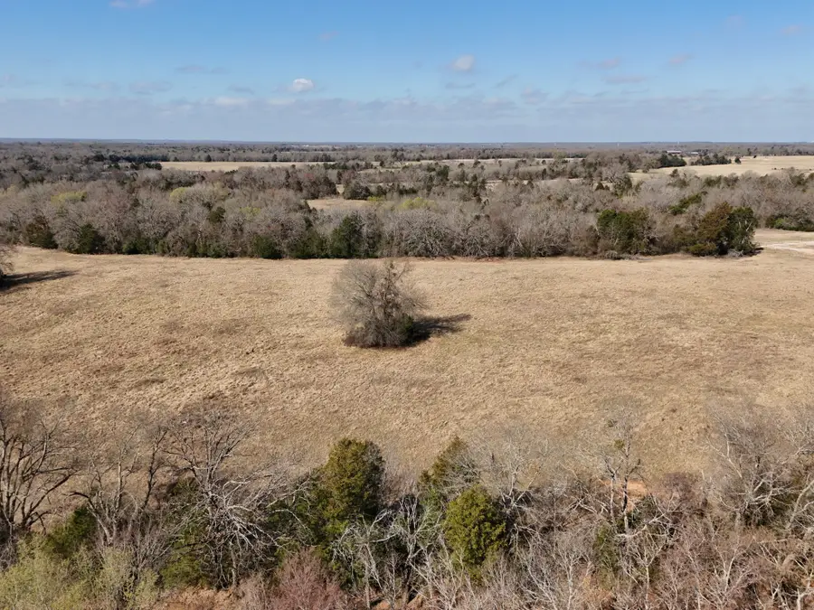 TBD Tract 10 Fcr 445, Fairfield, TX 75840 - #3