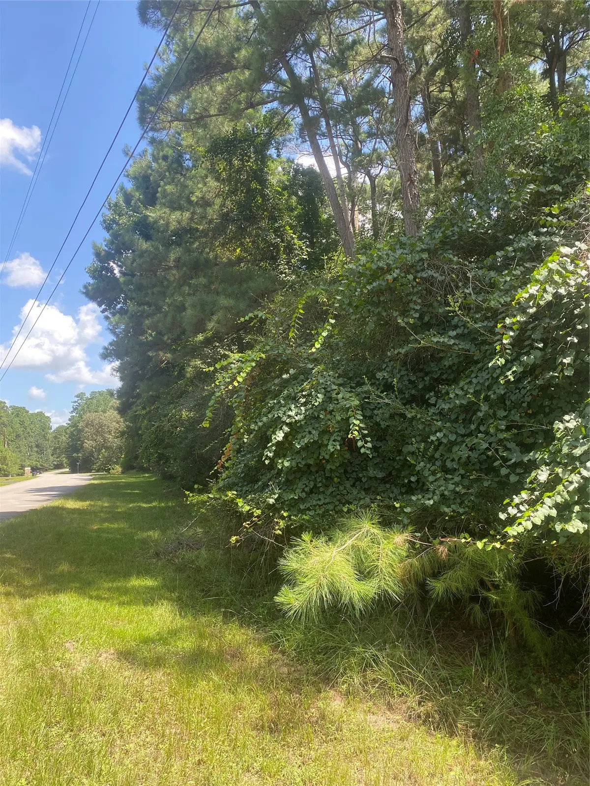 22922 Blackgum Drive, Magnolia, TX 77355 - #1