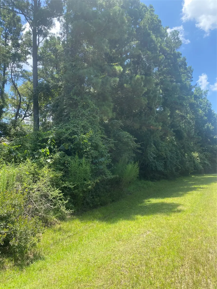 22922 Blackgum Drive, Magnolia, TX 77355 - #2