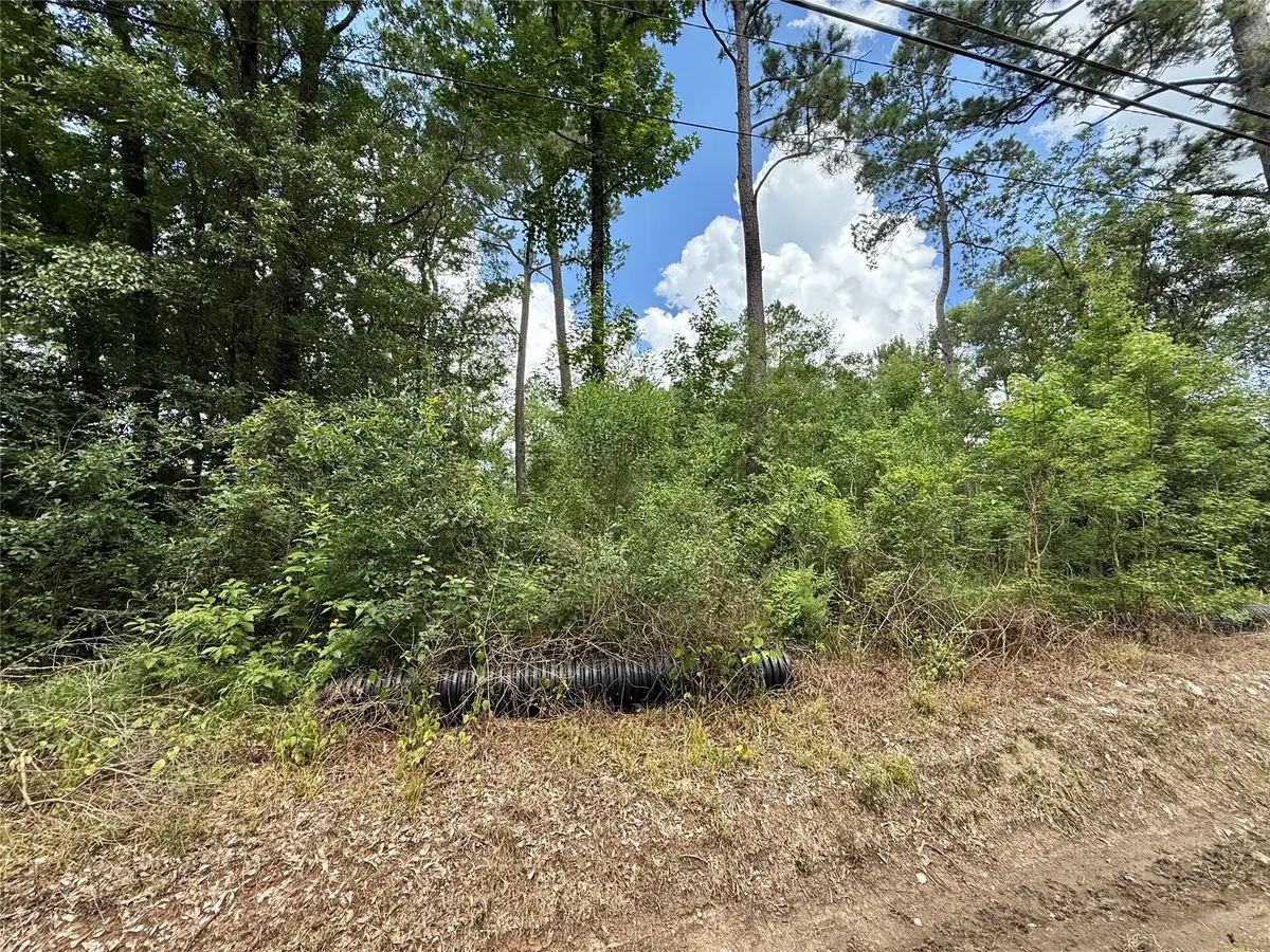 1030 Butler Road, Vidor, TX 77662 - #1