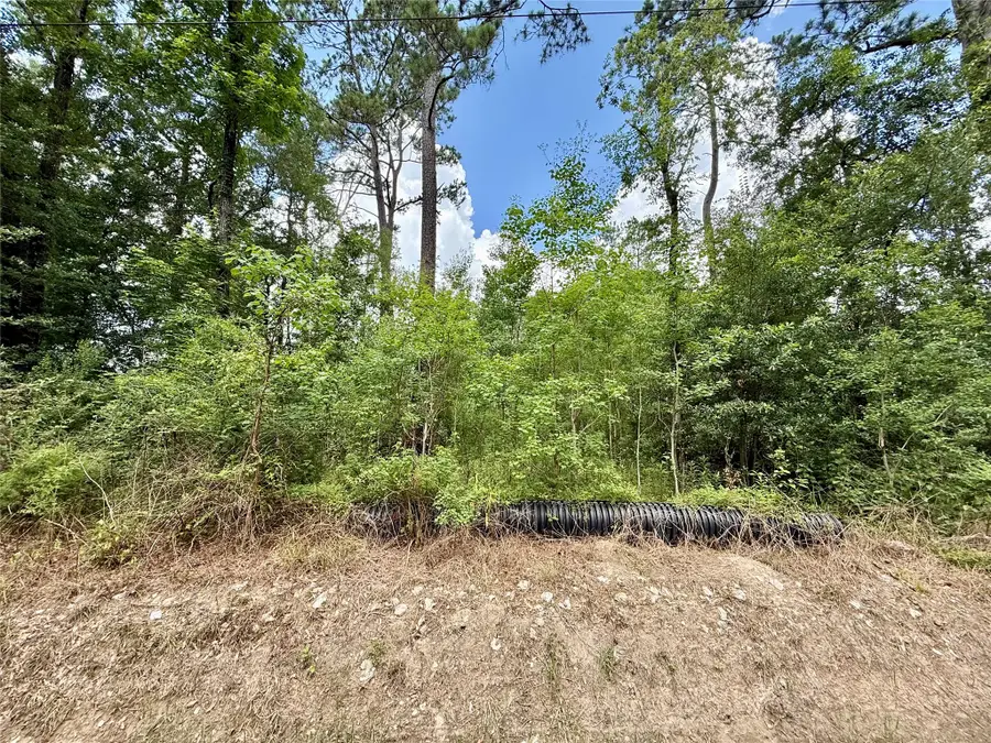 1030 Butler Road, Vidor, TX 77662 - #3