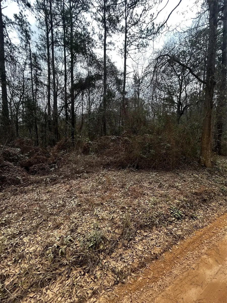 0 County Line Road, Shepherd, TX 77371 - #3