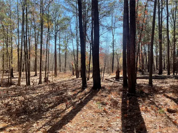 553 Private Road 8356, Bronson, TX 75930