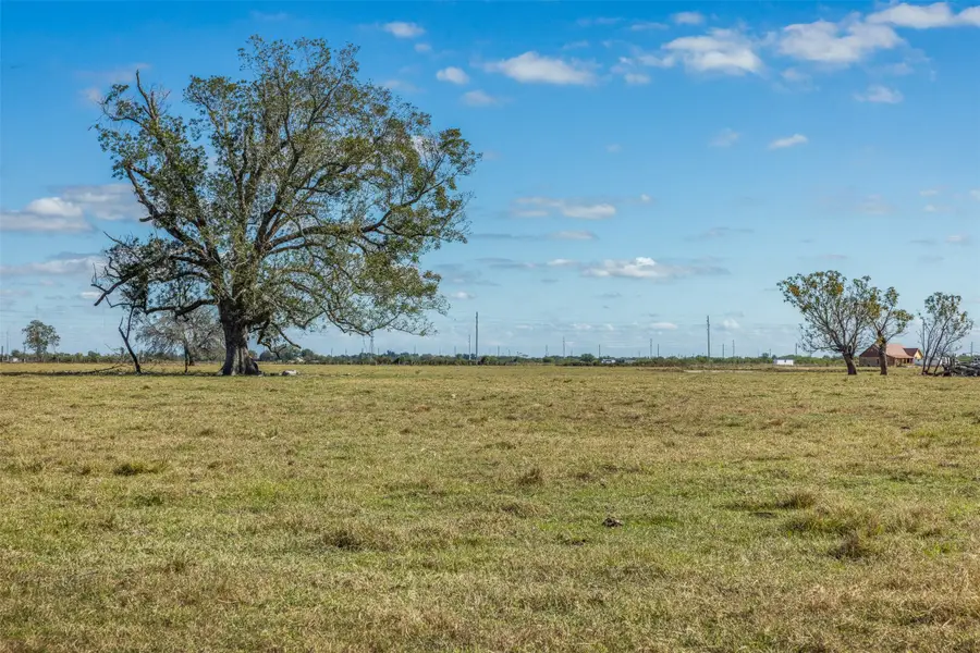 TBD Johnston Road, Wallis, TX 77485 - Image #3