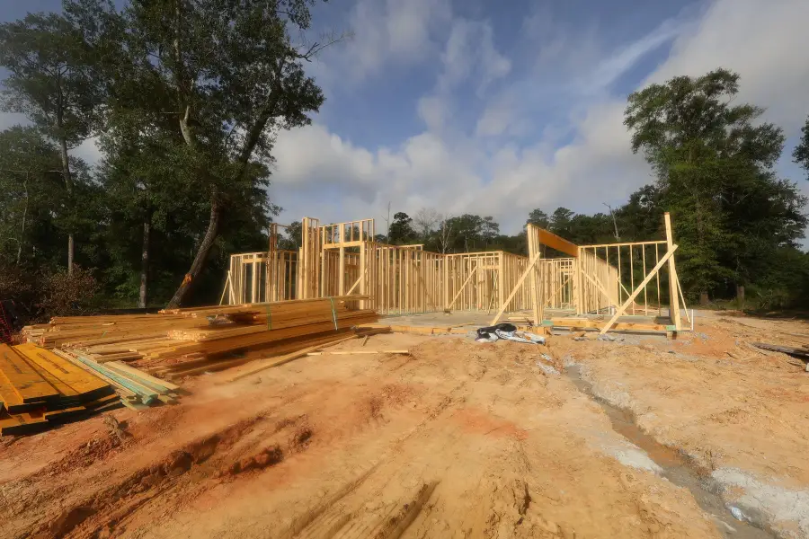 1146 Dws Pass, Conroe, TX 77306 - #3