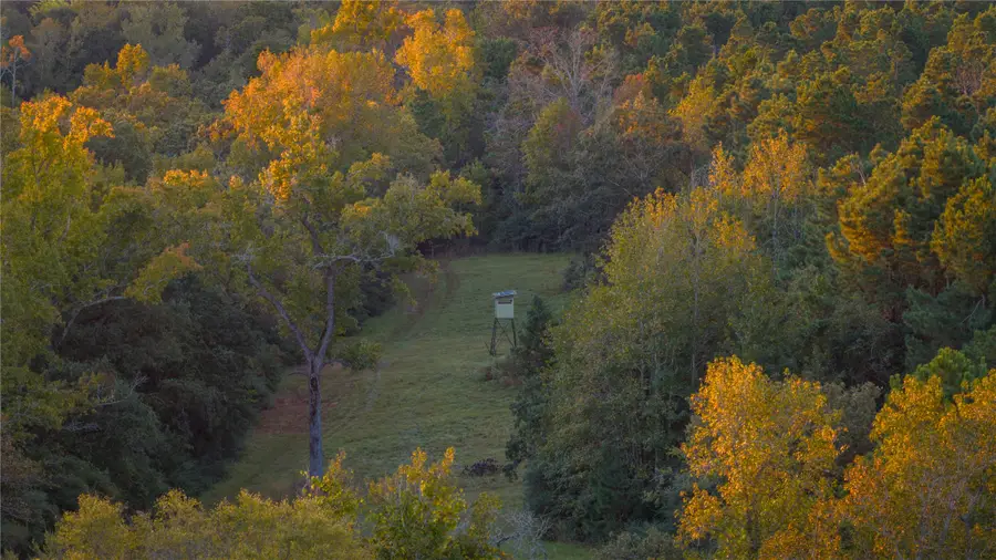 15383 County Road 236, Oakwood, TX 75855 - Image #3