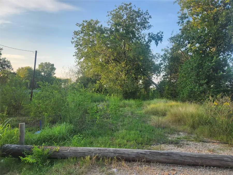16026 Sam Brookins Street, Sugar Land, TX 77498 - #3