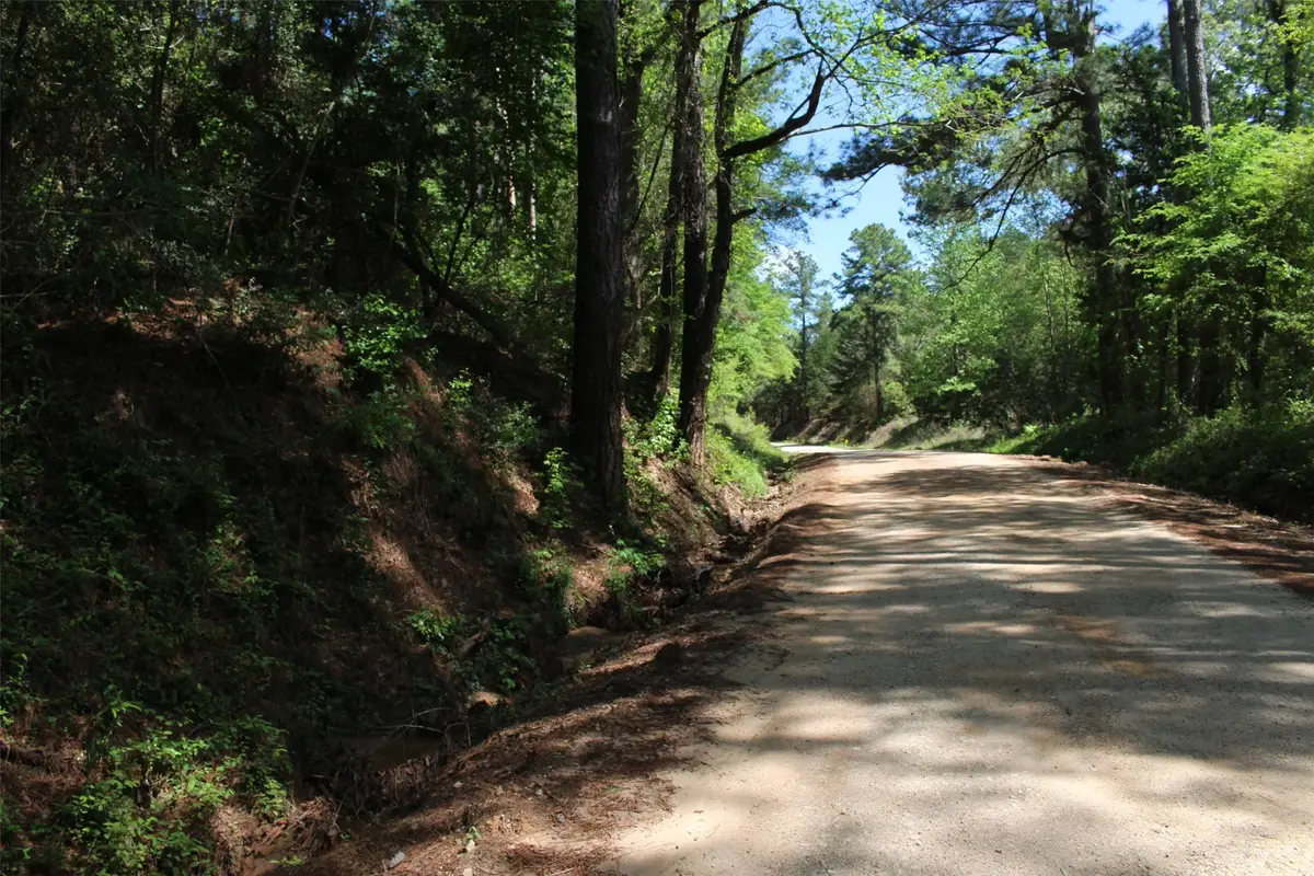 000 County Road 1190, Grapeland, TX 75844 - #1