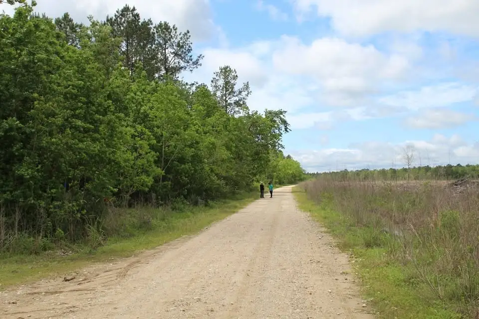 000 Gates, Devers, TX 77538 - #1