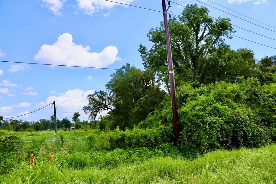1462 Cr-39, Rosharon, TX 77583 - #3