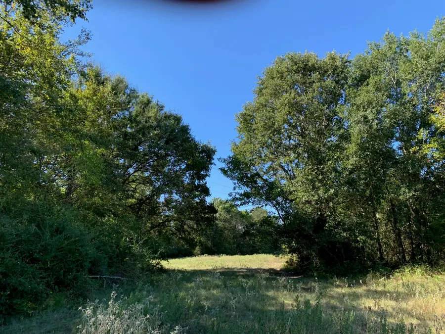 133 ac Hwy 39, Normangee, TX 77871 - Image #2