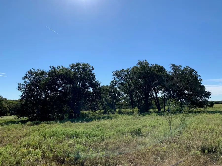 133 ac Hwy 39, Normangee, TX 77871 - Image #3
