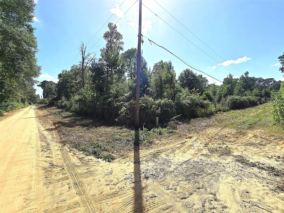 TBD Margie Drive, Livingston, TX 77351 - #1