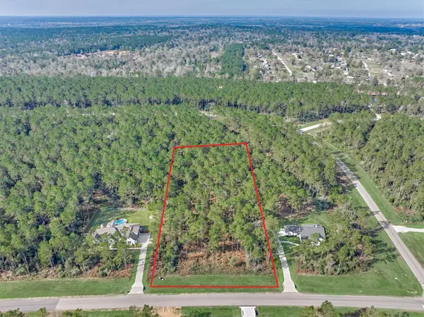 15929 Wood Grove Way, Willis, TX 77378