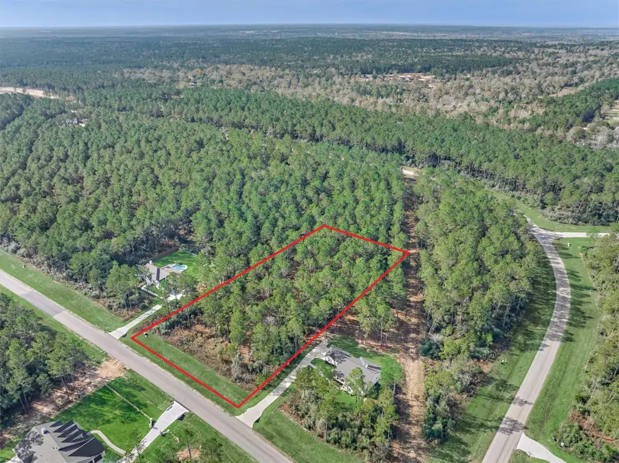 15929 Wood Grove Way, Willis, TX 77378 - Image #2