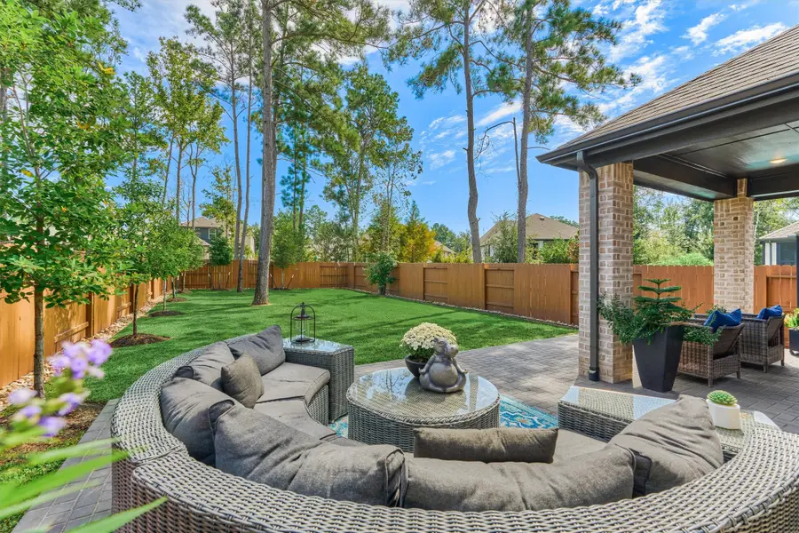 221 Sky Top Drive, Montgomery, TX 77316 - #3