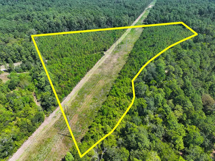 0 Johnson Road, Huntsville, TX 77320 - #3