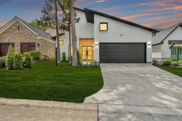 36 Winthrop Harbor, Montgomery, TX 77356